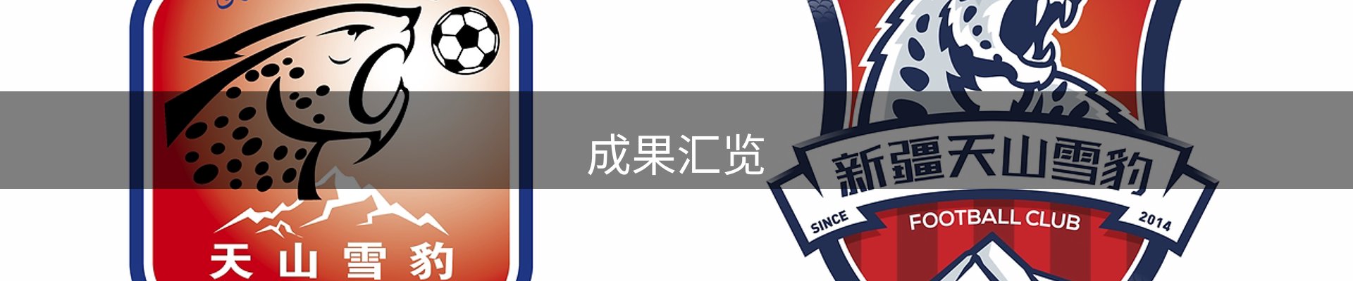 成果汇览